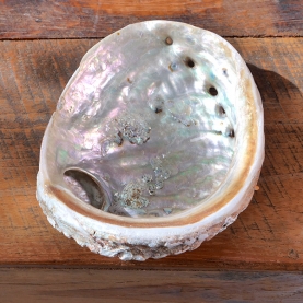 Abalone shell incense stand