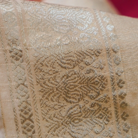 Indian embroidered saree