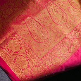 Indian embroidered saree