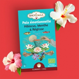 Ayurvedic herbal tea Emotional clarity