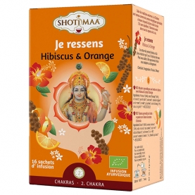 Indian ayurvedic herbal tea In the mood Shoti maa