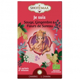 Tisane indienne bio Je suis SHOTI MAA 32g