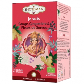 Indian ayurvedic herbal tea I am SHOTI MAA