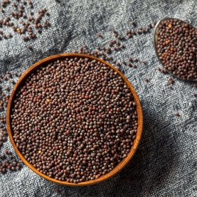 Indian brown mustard seeds