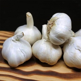 Indian garlic